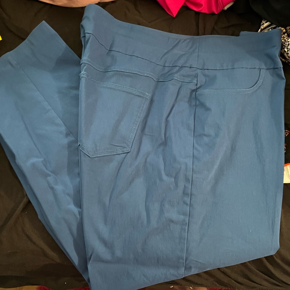 Ruby Rd. Blue Straight Leg Pants - image 3